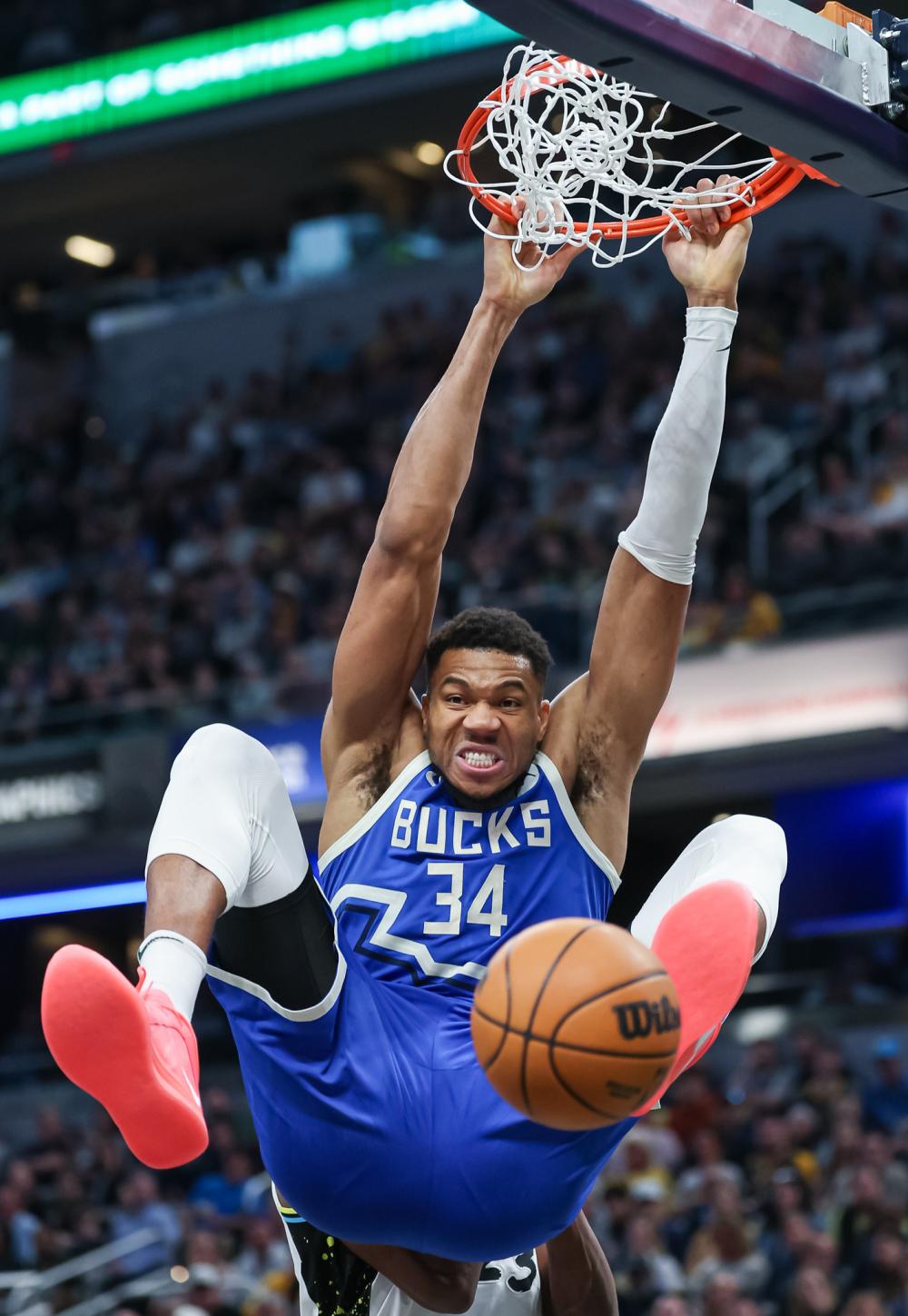 本赛季的他 本赛季的他