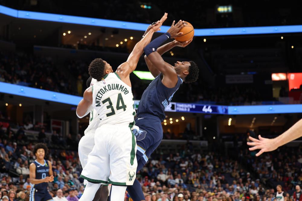 拉菲尼亚 拉菲尼亚